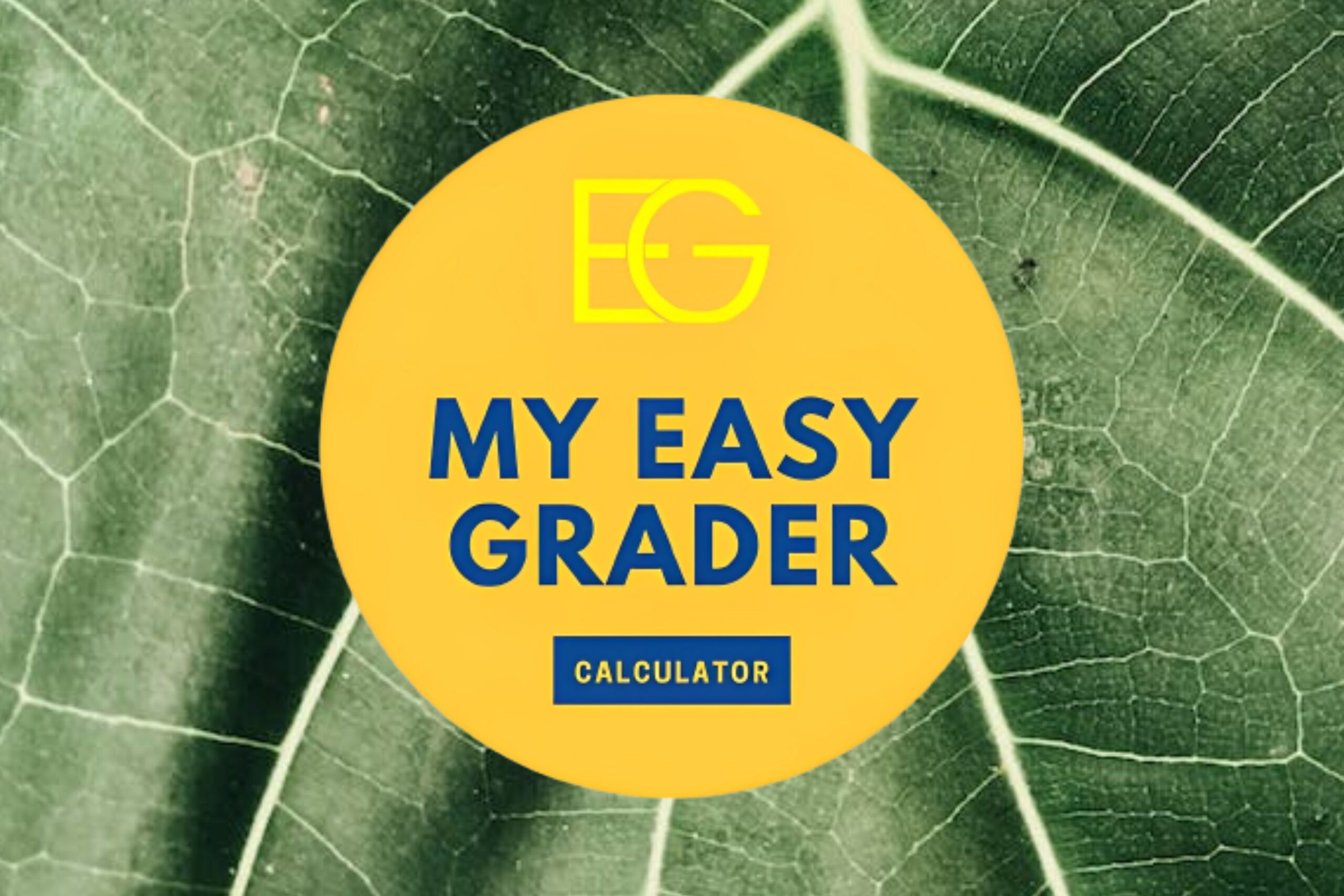 My Easy Grader Calculator for Environmental Science – No. 1 App