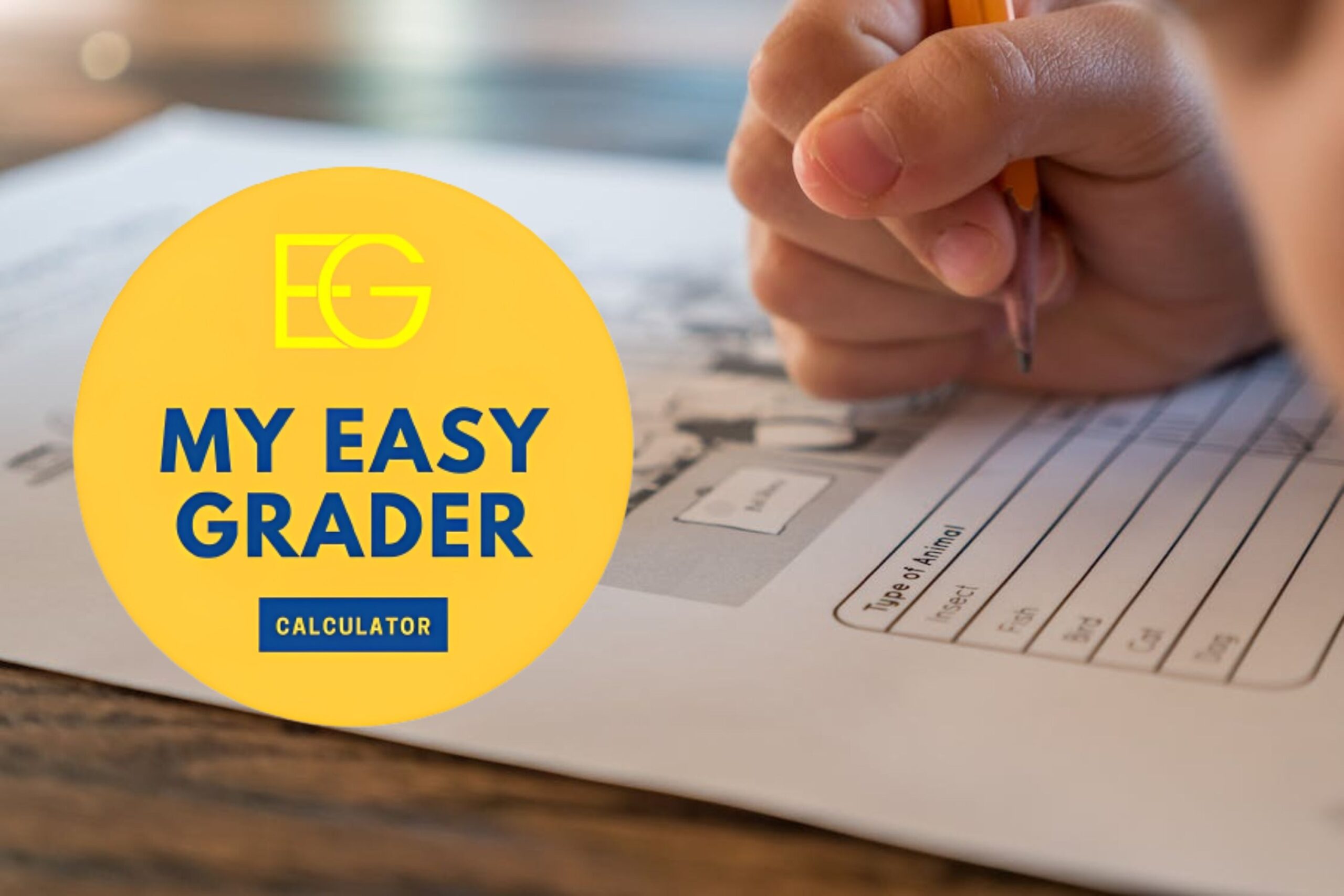 My Easy Grader Calculator for Rapid Grading Analysis – Top Choice